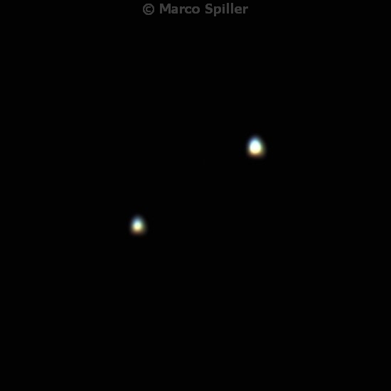 Alya - nella coda del serpente